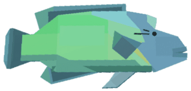 Napoleonfish