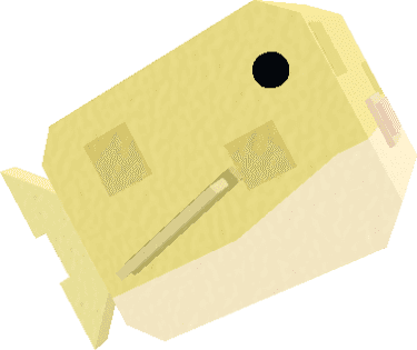 Pufferfish