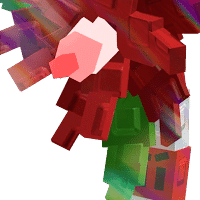 Candycane Bloom