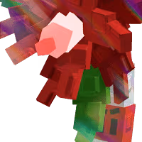 Candycane Bloom