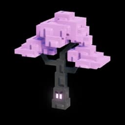 Cherry Blossom
