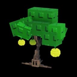 Lemon Tree