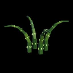 Vines
