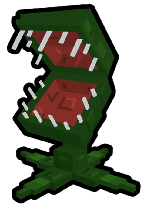 Venus Flytrap