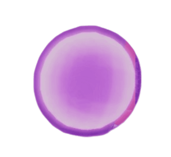 SP Reset Essence