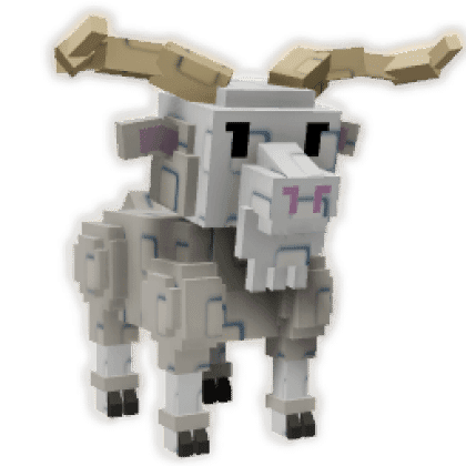 Angora Goat