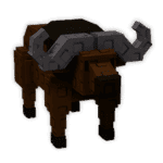 Cape Buffalo