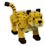 Cheetah
