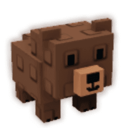 Grizzly Bear