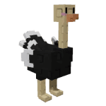 Ostrich