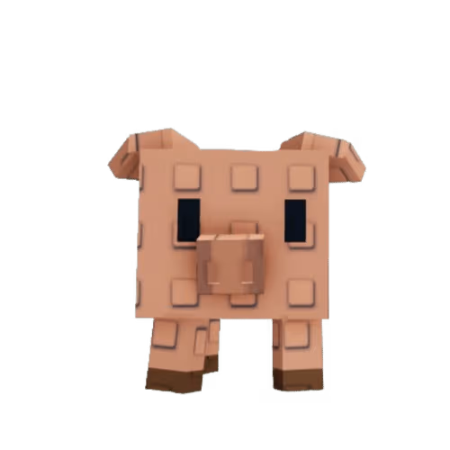 Pig
