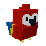 Scarlet Macaw