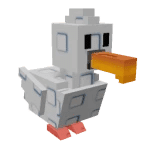 Seagull