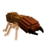 Termite