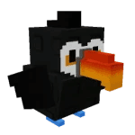 Toucan