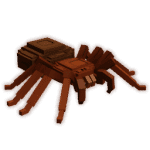 Trapdoor Spider