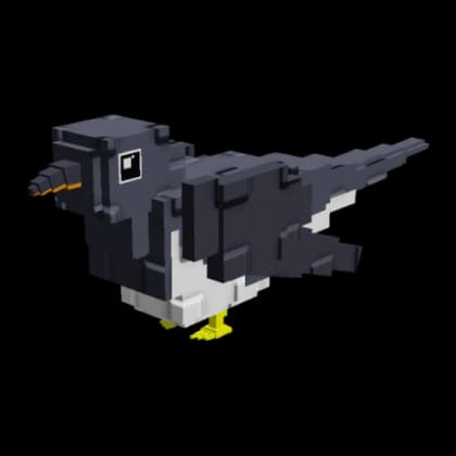 Cuckoo