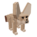 Fennec Fox