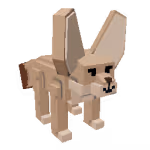 Fennec Fox