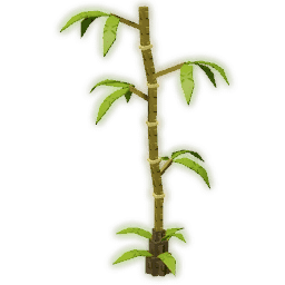 Bamboo Tree
