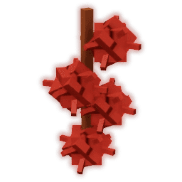 Castor Bean