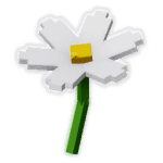 Daisy