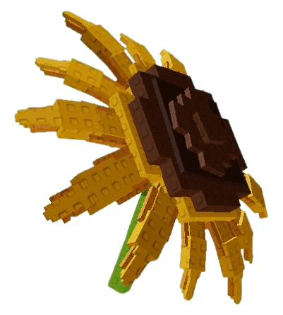 Legacy Sunflower