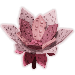 Cyclamen