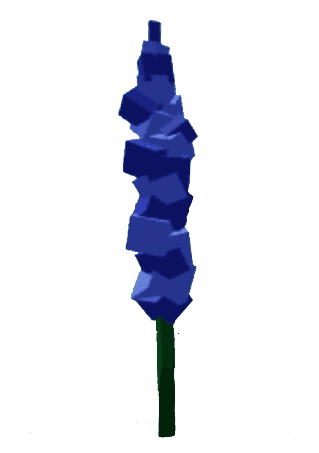 Delphinium