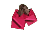 Raspberry