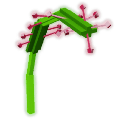 Sundew