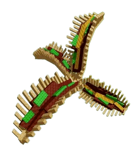 Taco Fern
