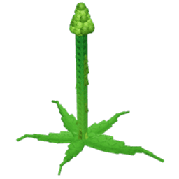 Tall Asparagus