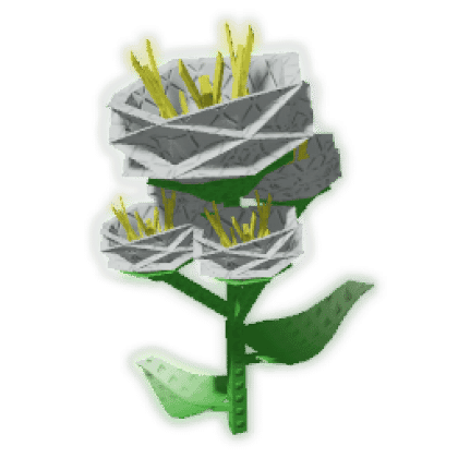 Yarrow