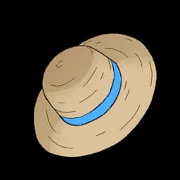 Blue Straw Hat