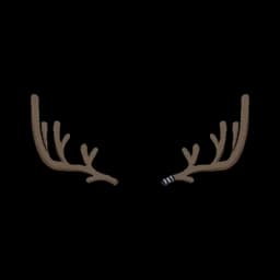 Cervus