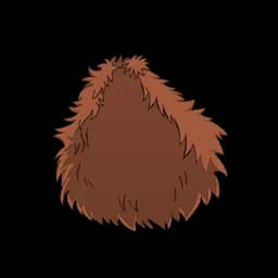 Dark Beard Cloak