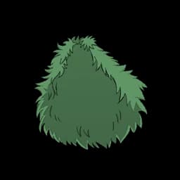 Green Cloak