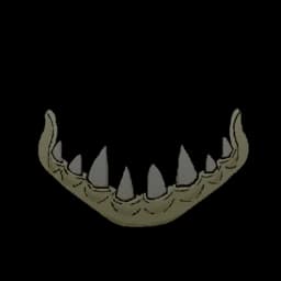 Sea King Jaw