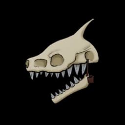 Sea King Skull