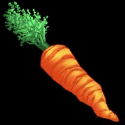 Carrot (600x)