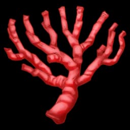 Coral (40x)