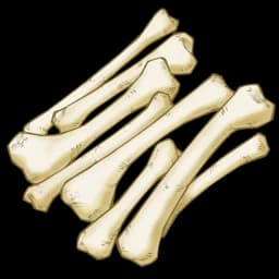 Pile of Bones (600x)