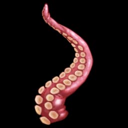 Severed Kraken