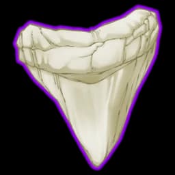 Shark's Canine (12.5x)