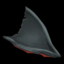 Shark's Fin (40x)