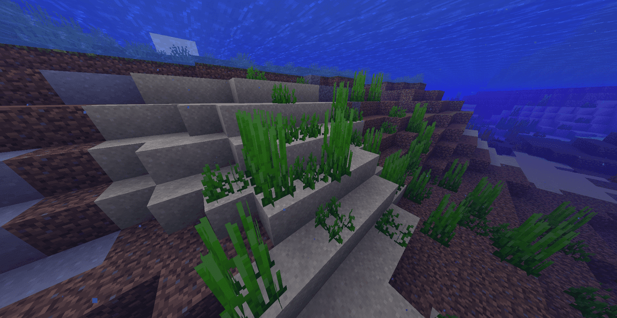 how-to-get-seagrass-in-minecraft