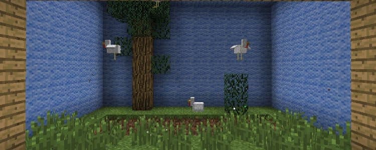 DuckHunter1