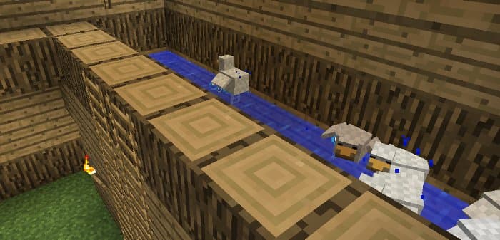 eggfarm4