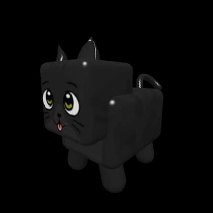 Black Cat